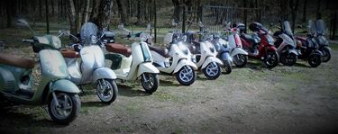 Nieuwe naam voor Paalse Scooterfriends - Beringen
