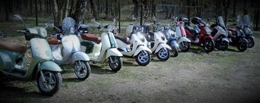 Nieuwe naam voor Paalse Scooterfriends - Beringen