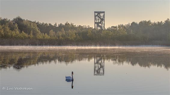 Nieuwe selectie prachtige natuur - Lommel