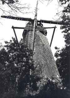 Nieuwe toekomst voor Schaliënmolen Tessenderlo - Beringen