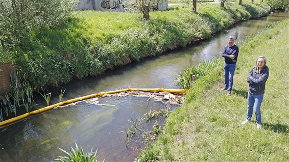 Nieuwe vuilvanger in de Dommel - Pelt