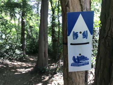 Nieuwe wandelingen van Wandelend Paal - Beringen