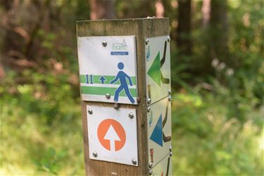 Nieuwe wandelroutes Beverlo, aansluiting met Ham - Beringen