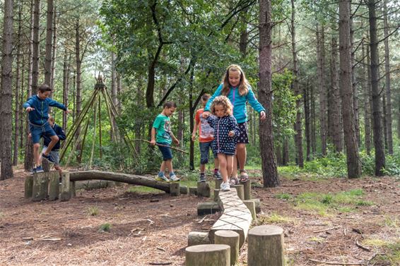 Nieuwe wandelroutes in het Kolisbos - Neerpelt