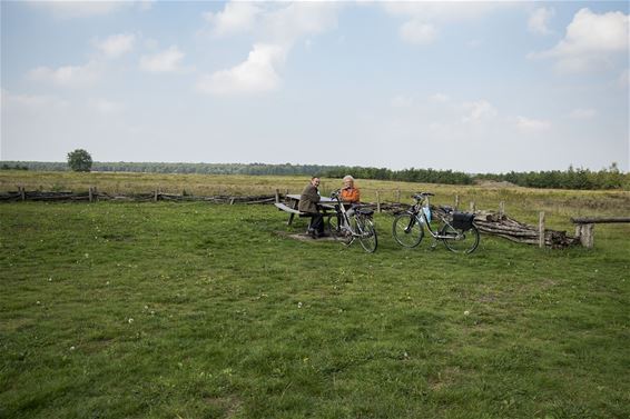 Nieuwe zitbank in Vlindervallei - Lommel