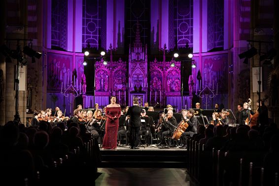 Nieuwjaarsconcert met Casco Phil - Hamont-Achel