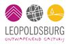 Nieuwjaarsquiz in de plaats van receptie - Leopoldsburg