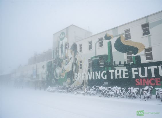 Bocholt - Nieuwjaarsreceptie gaat door, ongeacht het weer