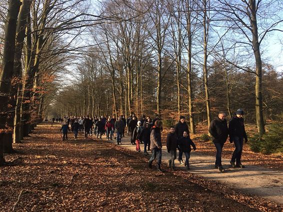 Nieuwjaarswandeling en -duik van de NWC - Neerpelt