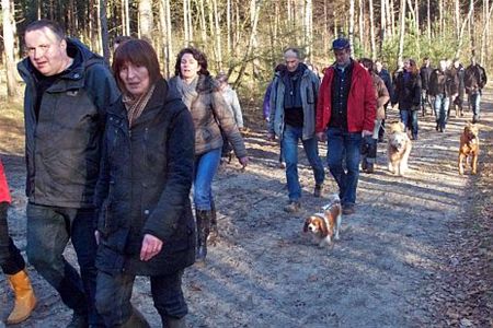 Nieuwjaarswandeling van de NWC - Hamont-Achel & Pelt