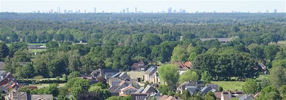 Niks dan groen tussen Hamont en Eindhoven - Hamont-Achel