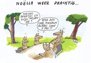 Noëlla is weer drachtig