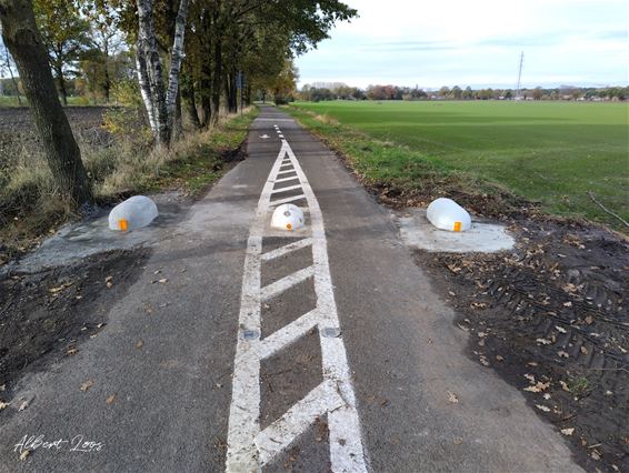 Nog een extra biggenrug op Loksvaartdijk - Pelt