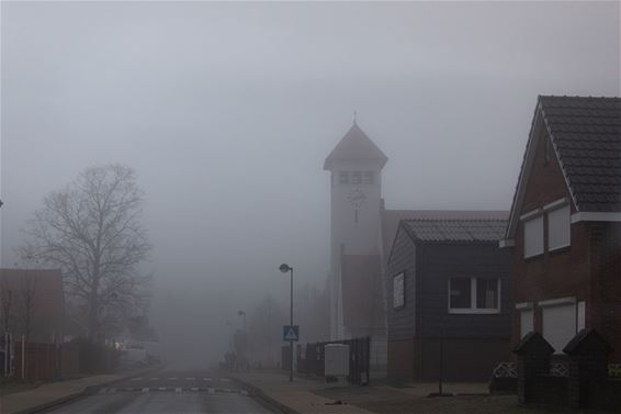 Nog een lading mist- en natuurfoto's - Lommel