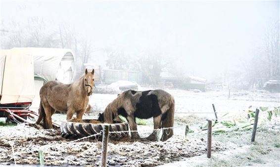 Nog een winterlandschap - Lommel