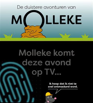 Nog eens een 'Molleke'... - Lommel