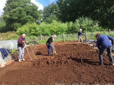 Nog enkele percelen vrij in De Motten - Beringen