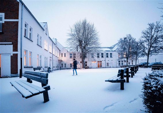 Nog enkele sneeuwfoto's - Lommel