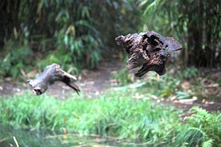Nog gauw luisteren naar 'Bois creux' - Neerpelt