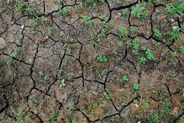 Nog geen droogteplan in Lommel - Lommel