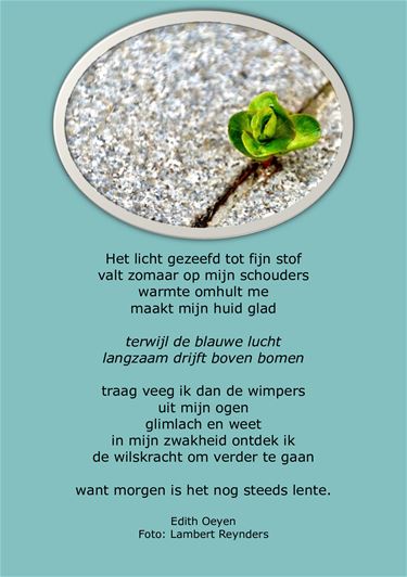 Nog steeds lente - Beringen & Leopoldsburg