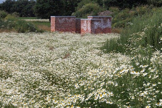 Nog wachten op de molen - Lommel