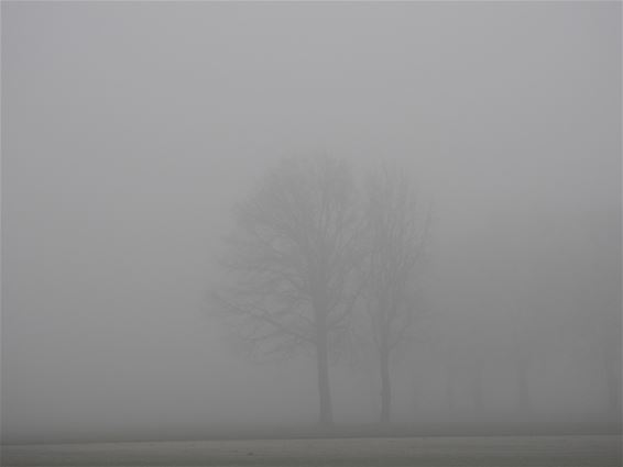 Nog wat extra mist... - Lommel