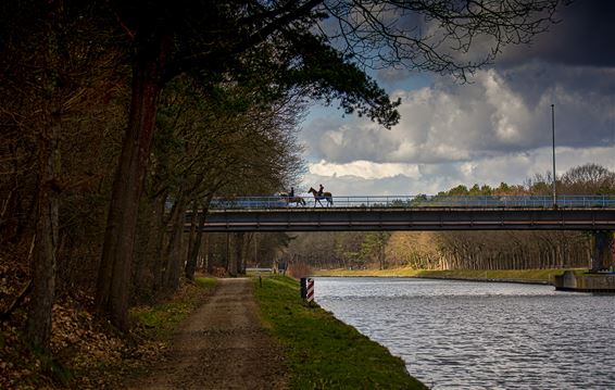 Nog wat natuur - Lommel