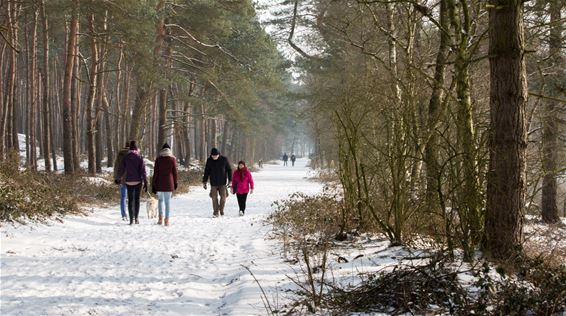 Nog wat winterlandschappen - Lommel