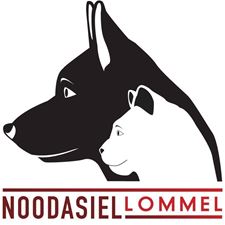 Noodasiel vzw gaat ook nieuwe asiel uitbaten - Lommel