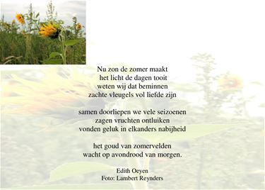 Nu de zon de zomer maakt - Beringen