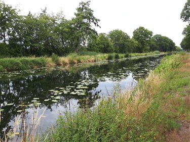 Nyrstar en het kanaal van Beverlo - Lommel