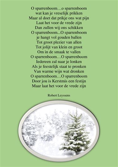 O sparrenboom - Beringen