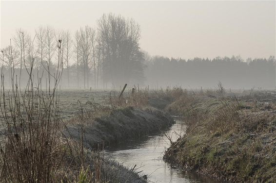 Ochtend boven de Warmbeek - Neerpelt