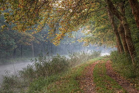 Ochtend in Gelderhorsten - Lommel