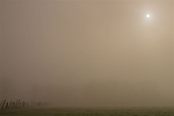 Ochtend in het Lindel - Overpelt