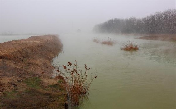 Ochtend in het Kristalpark - Lommel