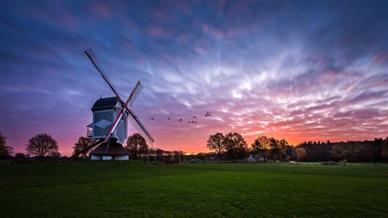 Ochtend in Kattenbos - Lommel