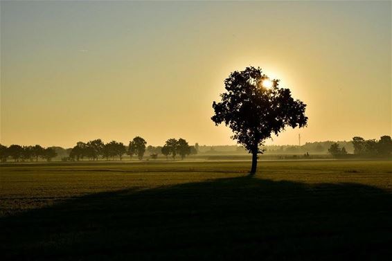 Ochtendgloren op de Romeinse Dijk - Neerpelt