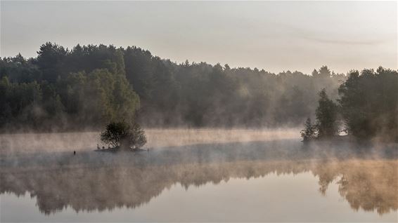 Ochtendmist in de Sahara - Lommel