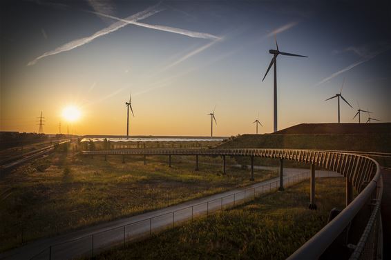 Ochtendstond heeft goud in de mond (2) - Lommel