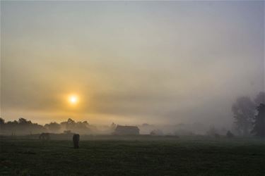 Ochtendstond heeft goud in de mond - Beringen