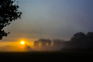 Begin van de herfst - Beringen