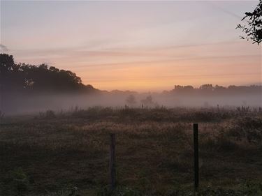 Ochtendstond heeft goud in de mond - Beringen