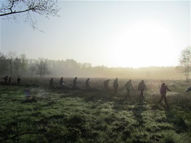 Ochtendwandeling met Natuurpunt Beringen - Beringen