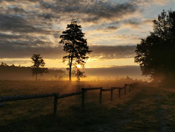 Ochtenstond heeft goud in de mond - Beringen