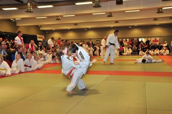 Oefenen bij de judoclub - Hamont-Achel