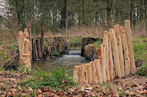 Oeverversterking aan de Kiekoet - Hamont-Achel