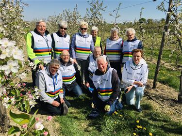 Okra fietst tussen de bloesems - Peer