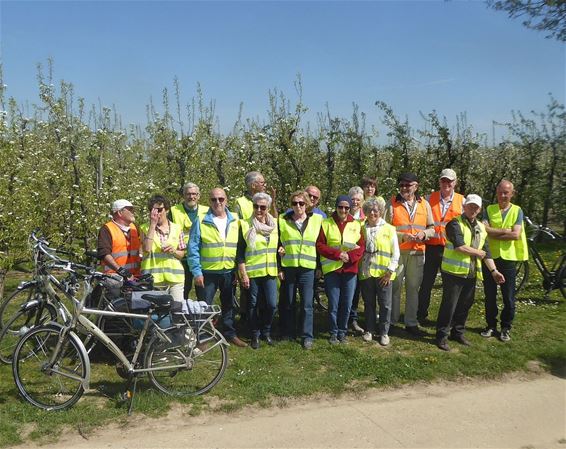 Okra-Hamont op bloesemtocht - Hamont-Achel